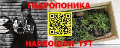 каннабис Усть-Джегута
